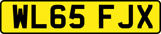 WL65FJX