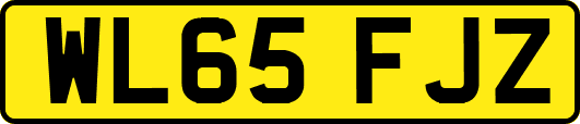 WL65FJZ