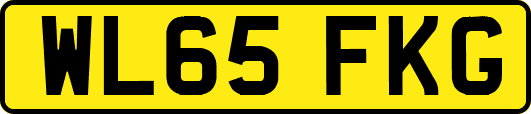 WL65FKG