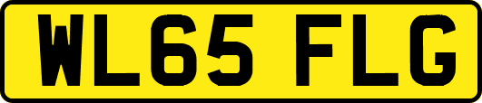 WL65FLG