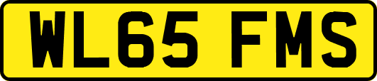 WL65FMS