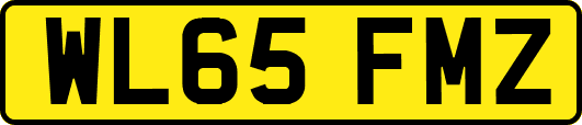WL65FMZ