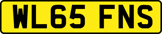 WL65FNS