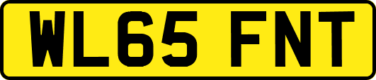 WL65FNT
