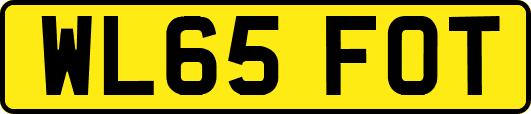 WL65FOT