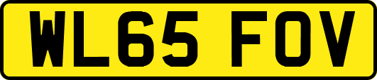 WL65FOV