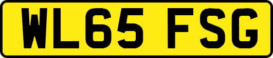 WL65FSG