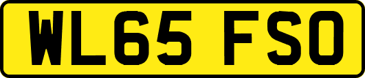 WL65FSO
