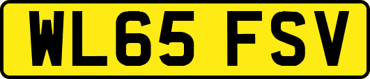 WL65FSV