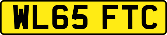 WL65FTC