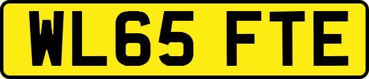 WL65FTE