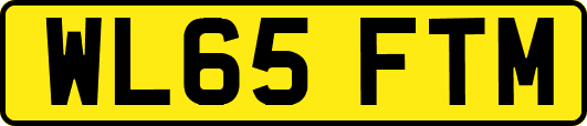 WL65FTM