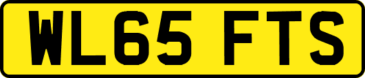 WL65FTS