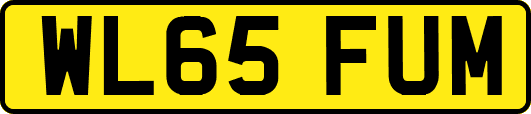 WL65FUM
