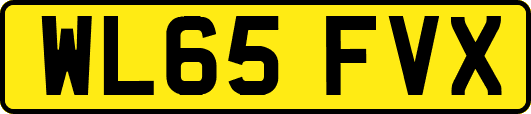 WL65FVX