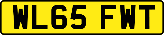 WL65FWT