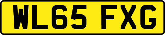 WL65FXG