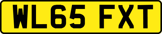 WL65FXT