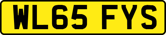 WL65FYS