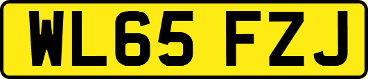 WL65FZJ