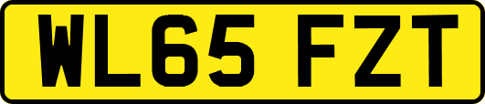 WL65FZT