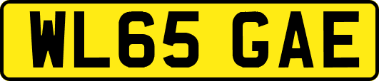 WL65GAE