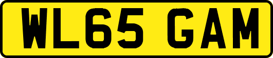 WL65GAM