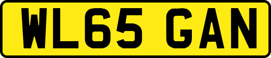 WL65GAN
