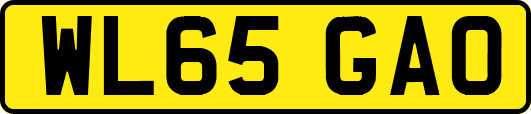 WL65GAO