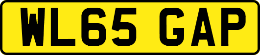 WL65GAP