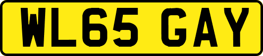 WL65GAY