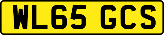 WL65GCS