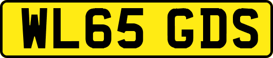 WL65GDS