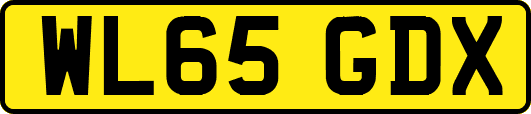 WL65GDX