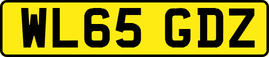 WL65GDZ