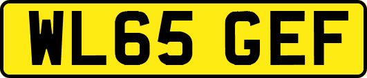 WL65GEF