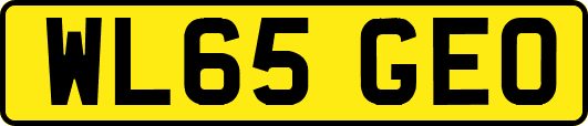 WL65GEO