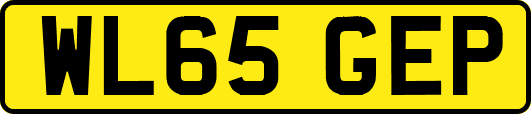 WL65GEP
