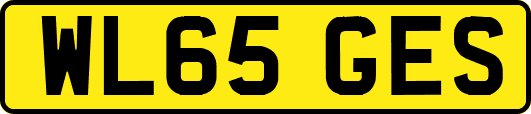 WL65GES