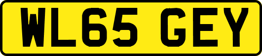 WL65GEY