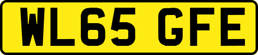 WL65GFE