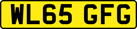 WL65GFG