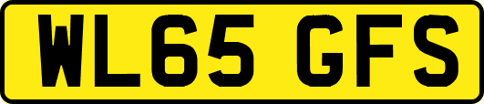 WL65GFS