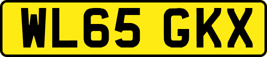 WL65GKX