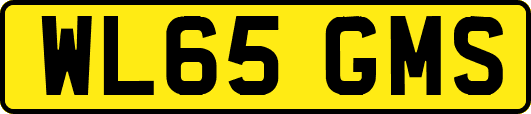WL65GMS
