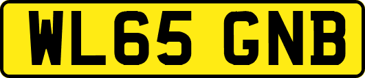 WL65GNB