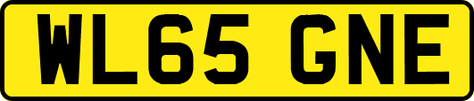 WL65GNE