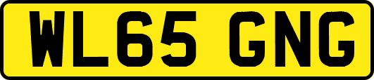 WL65GNG