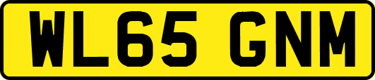 WL65GNM