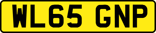 WL65GNP